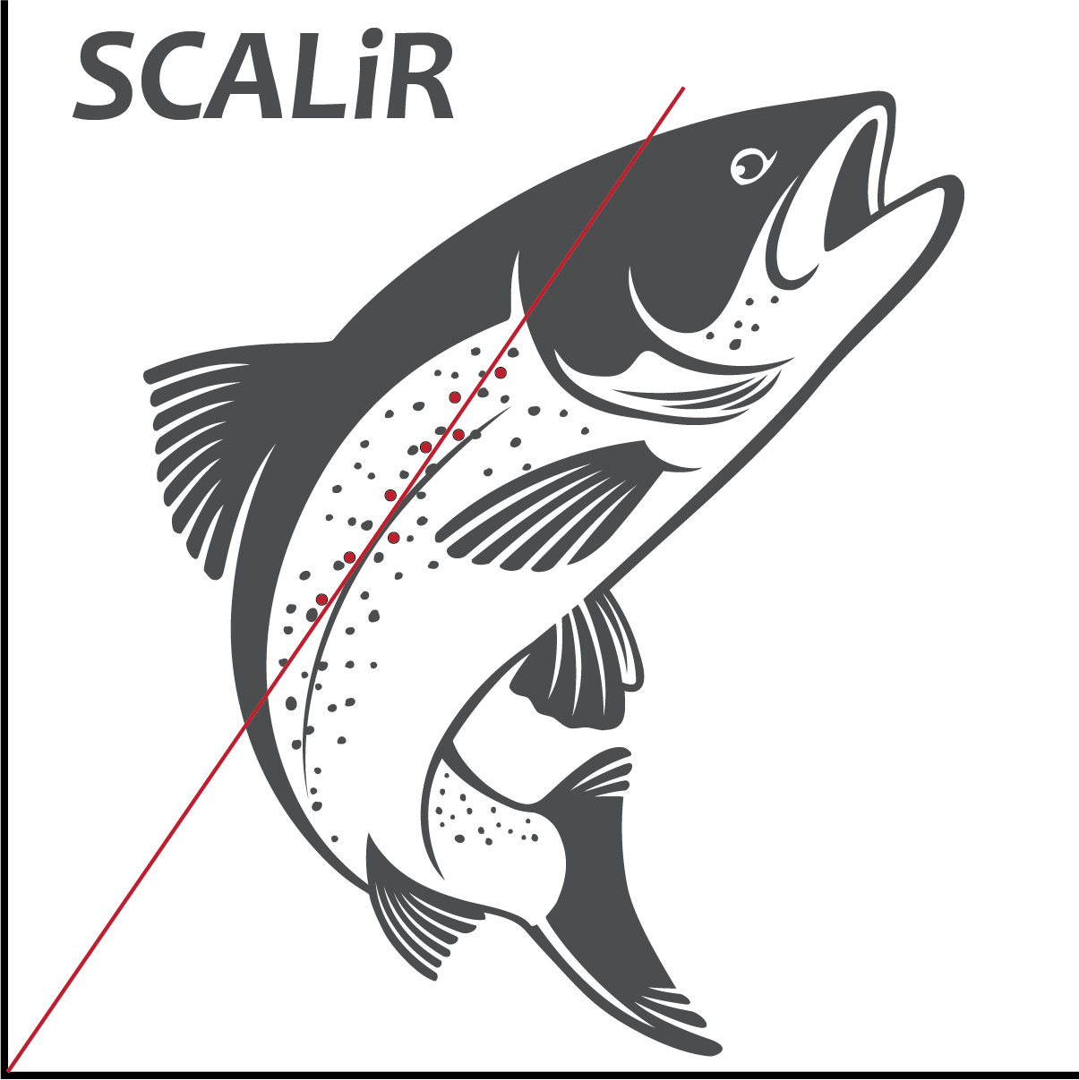 SCALiR logo